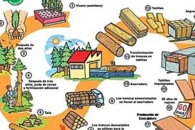 LAPIZ
