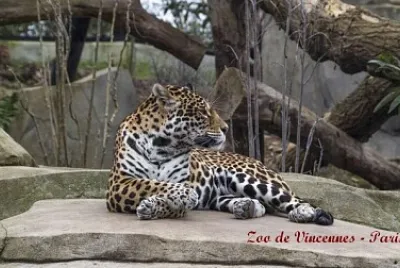 Zoo de Vincennes - Paris