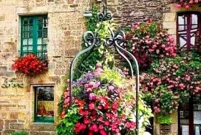 flores