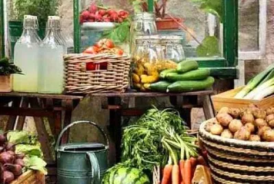 alimentos