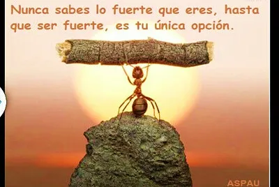Resiliencia