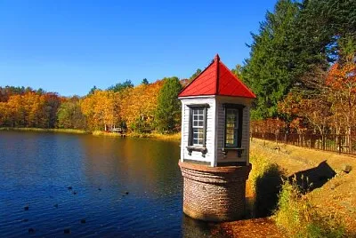 NATUREZA jigsaw puzzle