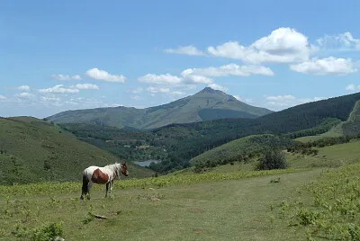 Paysages