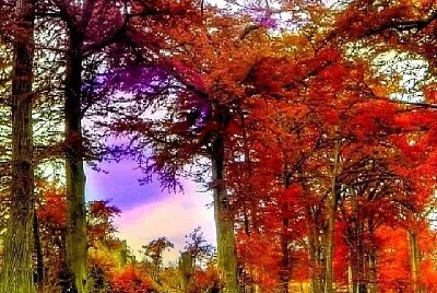 imagem jigsaw puzzle