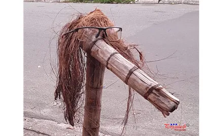 O coqueiro com oculos