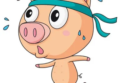 Cerdito sudando