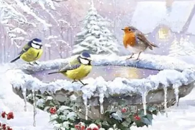 Natale