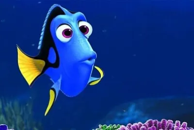 Le monde de Némo - Dory