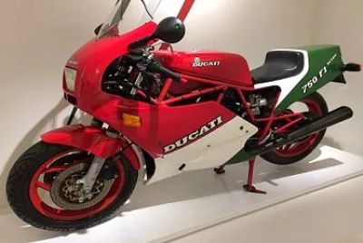 Toy