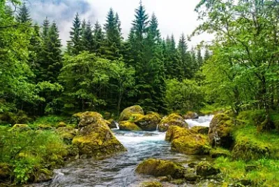 Nature