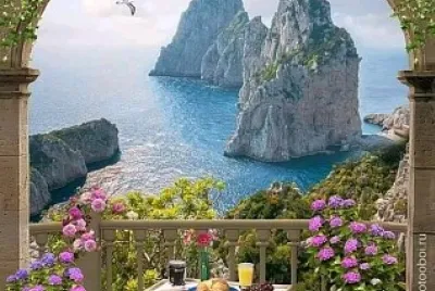 terraza