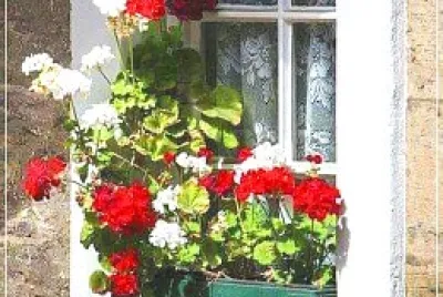 ventana