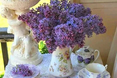 flores