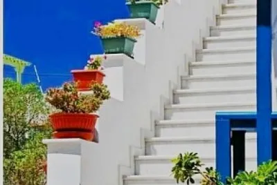 flores
