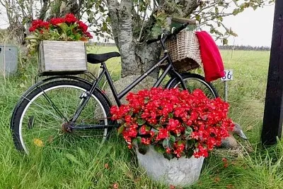 bicicleta