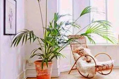 silla