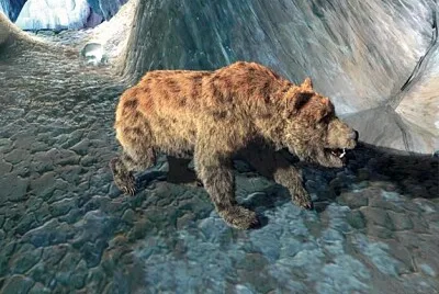 Ours des cavernes