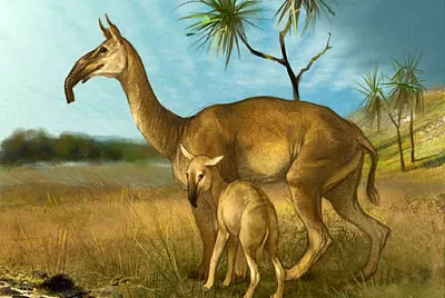Macrauchenia
