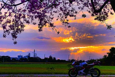 風景