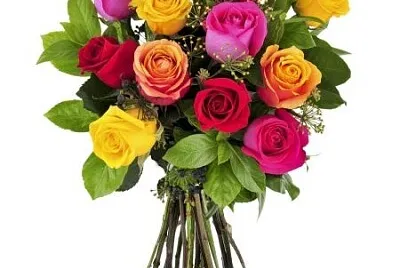 פאזל של VARIEDADES DE ROSAS