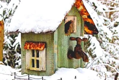 pajarera jigsaw puzzle