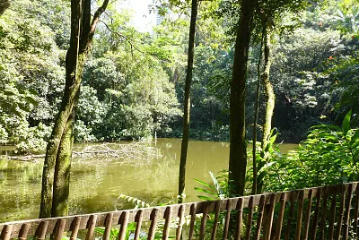 Burle Marx Park - São Paulo