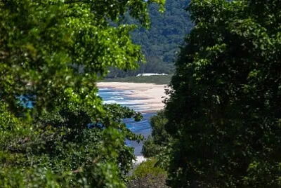 Nature jigsaw puzzle