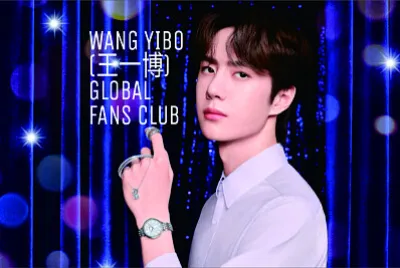 Chinese actor Wang Yibo jigsaw puzzle