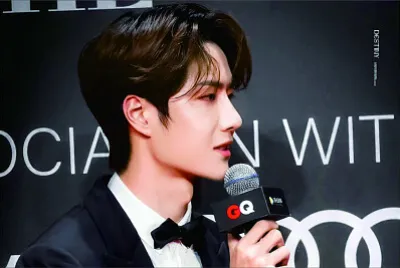 Chinese actor Wang Yibo jigsaw puzzle