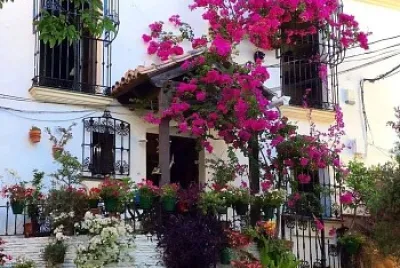 Estepona - Málaga jigsaw puzzle