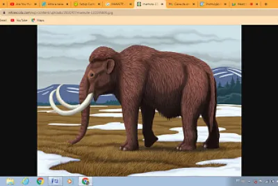 פאזל של Mammoth