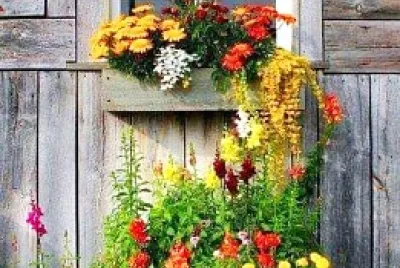 ventana jigsaw puzzle