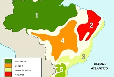 Domínios morfoclimáticos jigsaw puzzle