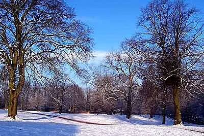 Snow Scene jigsaw puzzle