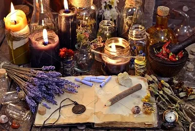 erbe spezie speziale