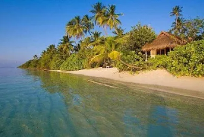 imagem jigsaw puzzle