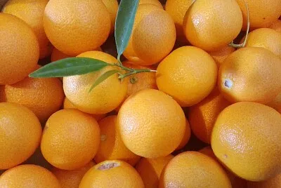 MANDARINAS jigsaw puzzle