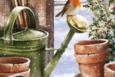 Natale