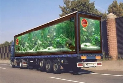 Camion aquarium