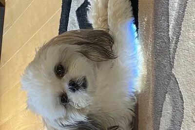 Mia