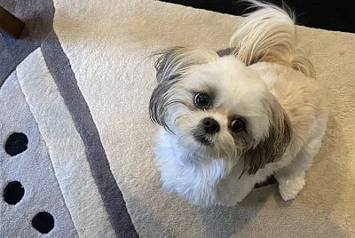 Mia
