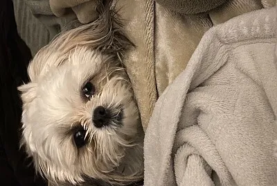 Mia