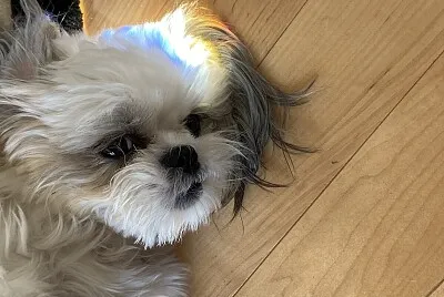 Mia