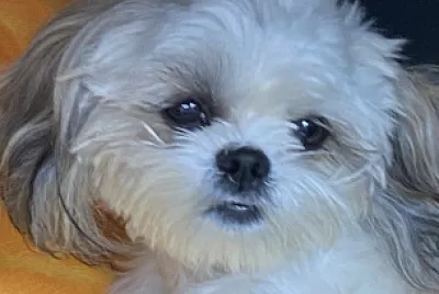Mia