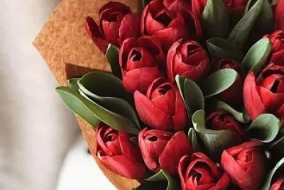 flores