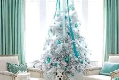 perro