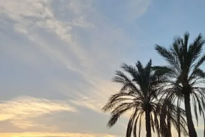 nice view