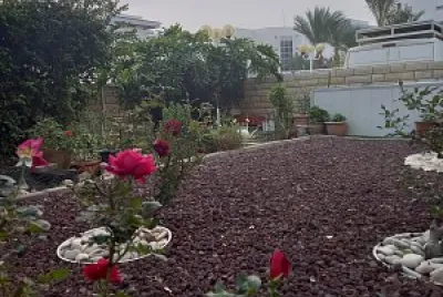 garden1