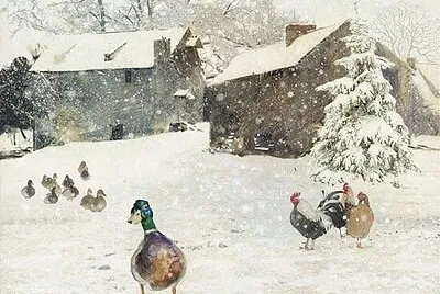 Natale