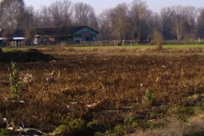 campagna